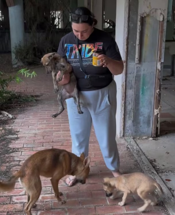 Fueron a rescatar a unos cachorros y se encontraron con una situación tan tierna como inesperada