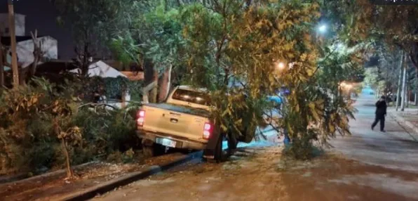 Conductor ebrio derribó varios árboles en Tres Cerritos