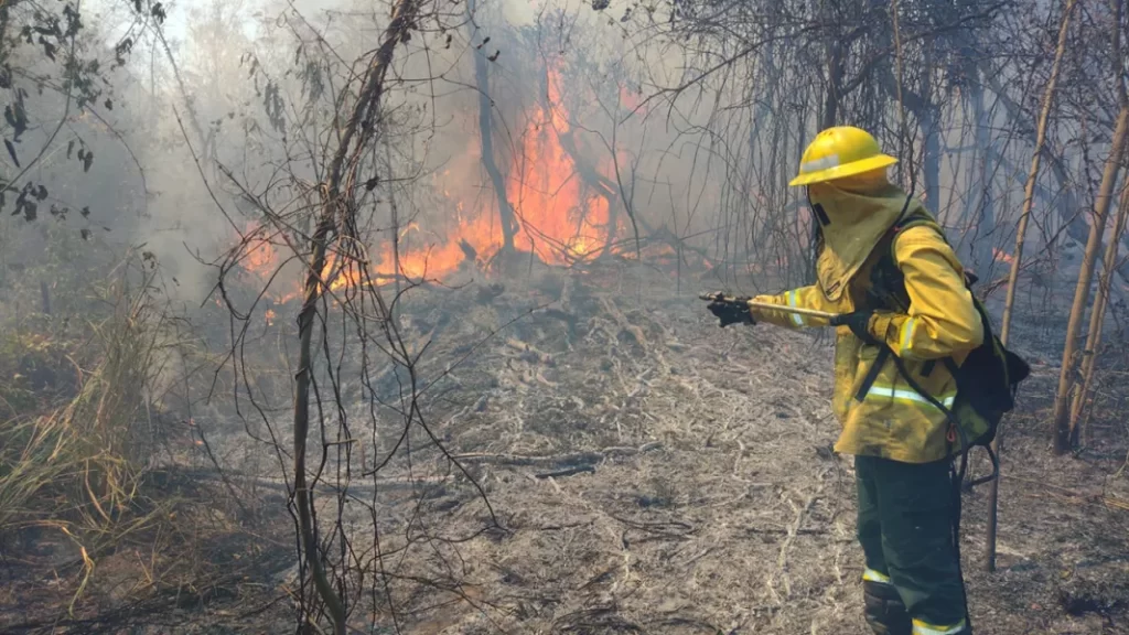 Intenso trabajo de seguridad para sofocar un amplio incendio de pastizales en Tartagal