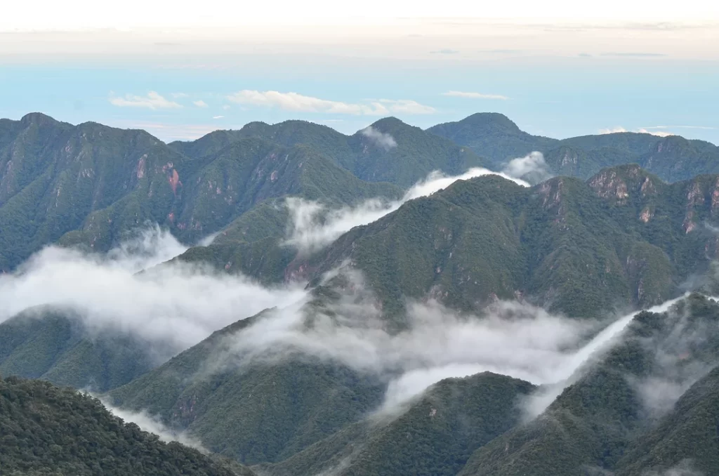 La Corte Suprema condenó al Estado nacional y a Jujuy por daño ambiental en el Parque Nacional Calilegua