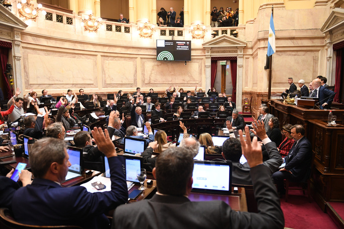 Mayoría opositora y aliados tumban el veto presidencial a la ley de emergencia en discapacidad