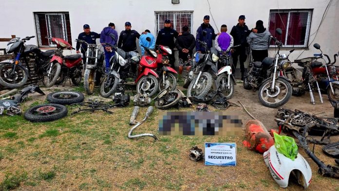 Desarticularon una banda que cometía delitos contra la propiedad en Salta Capital