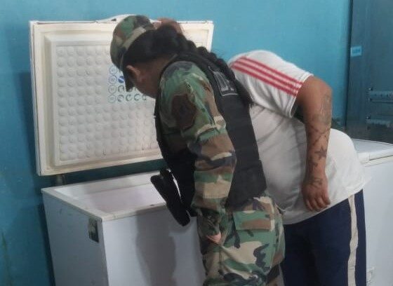 Decomisan carne en mal estado en Campo Quijano