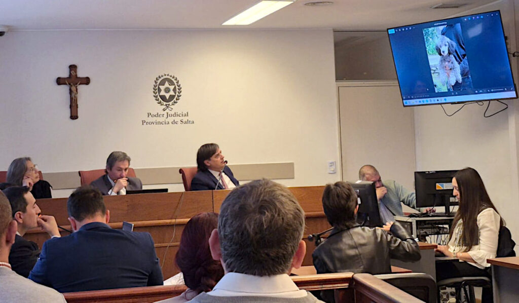 Caso Jimena Salas: Declararon vecinas que fueron abordadas por un hombre que aducía estar buscando a los dueños de una perrita