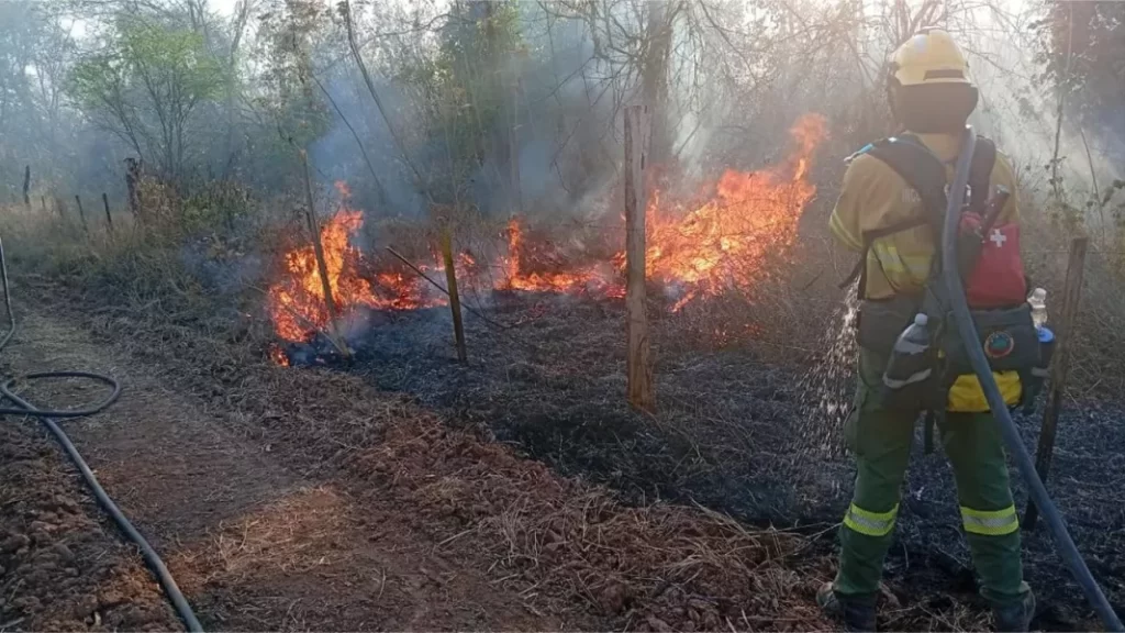 Continúan las tareas de sofocamiento de incendios forestales en el norte provincial