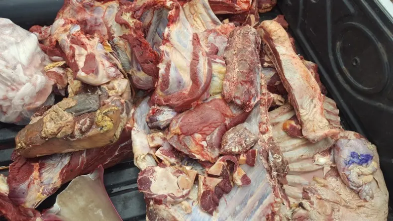 Secuestraron 500 kilos de carne no apta para el consumo
