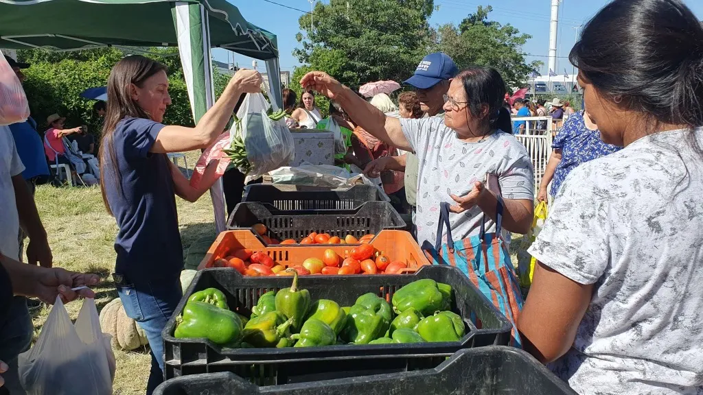 “El Mercado en tu Barrio” se instalará en Roberto Romero, zona oeste