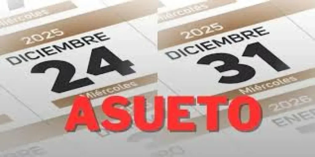 Asueto para la Administración Pública Provincial los días 24 y 31 de diciembre