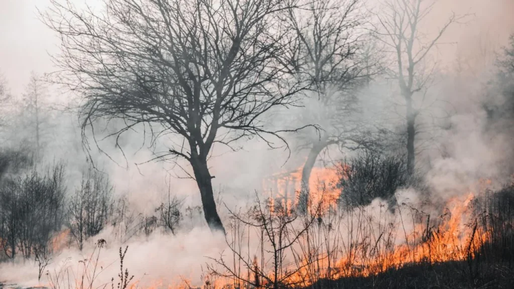 Riesgo «extremo» por incendios forestales en varias provincias