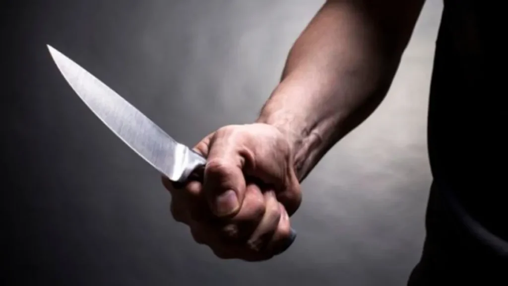 Rosario de Lerma: La cortó con un cuchillo después de pedirle que vuelvan a estar juntos en Navidad