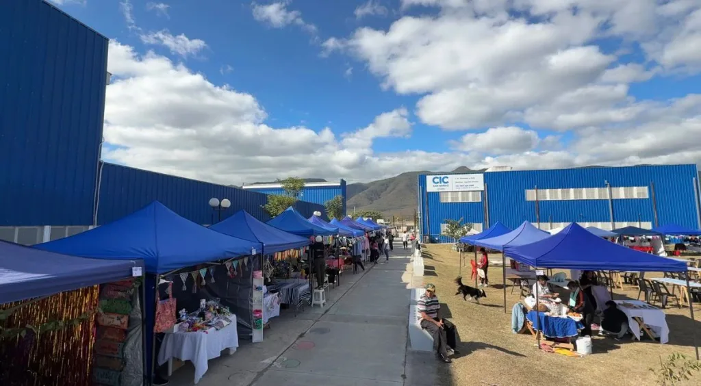 Gran Feria Navideña en la zona sudeste de la ciudad