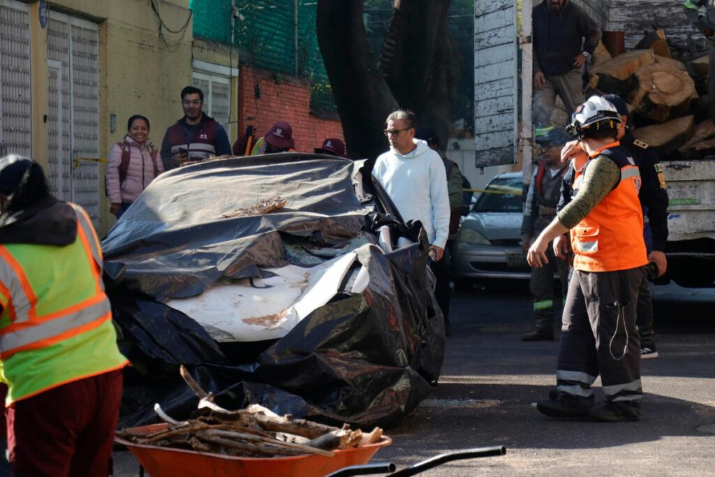Confirmaron dos muertos y 12 heridos por el fuerte sismo en México