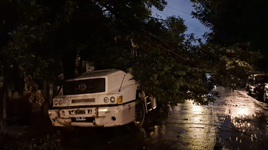 Un fuerte temporal en la ciudad de Salta causó anoche, voladura de techos, árboles y postes caídos