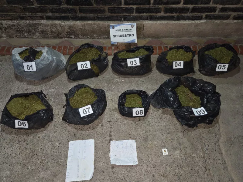 Incautaron más de 46 mil dosis de marihuana en Chicoana