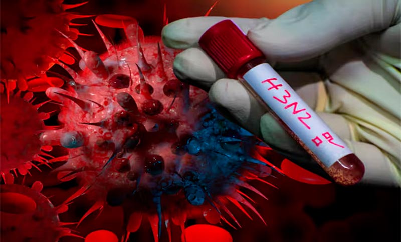 Alerta por un leve aumento de los casos de la gripe H3N2