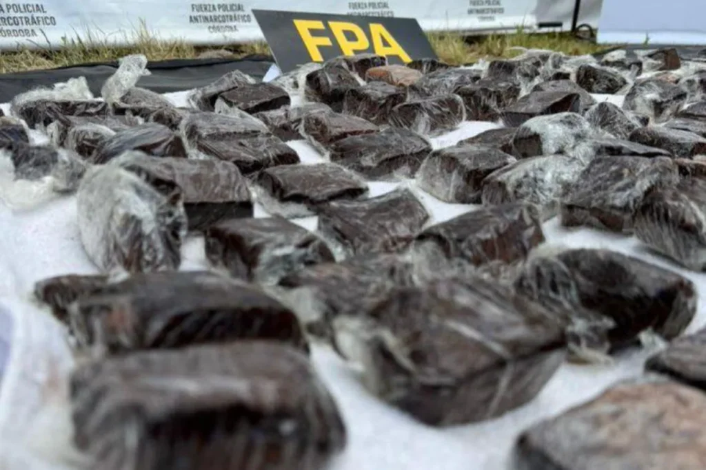 Incautaron más de seis kilos de brownies de marihuana en Cosquín Rock