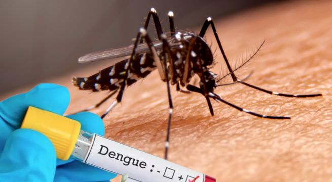 Alerta sanitaria en la frontera norte ante brote de Chikungunya en Bolivia