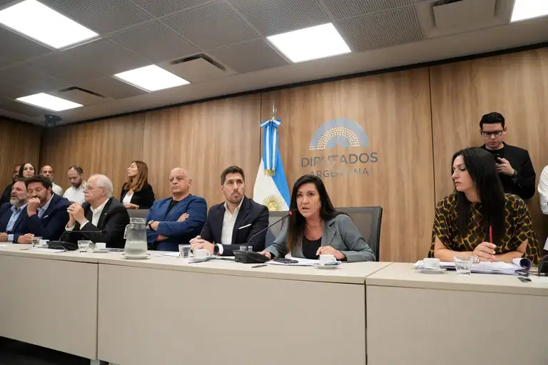 Régimen Penal Juvenil: el proyecto ingresó a Diputados con un cambio en el financiamiento a provincias