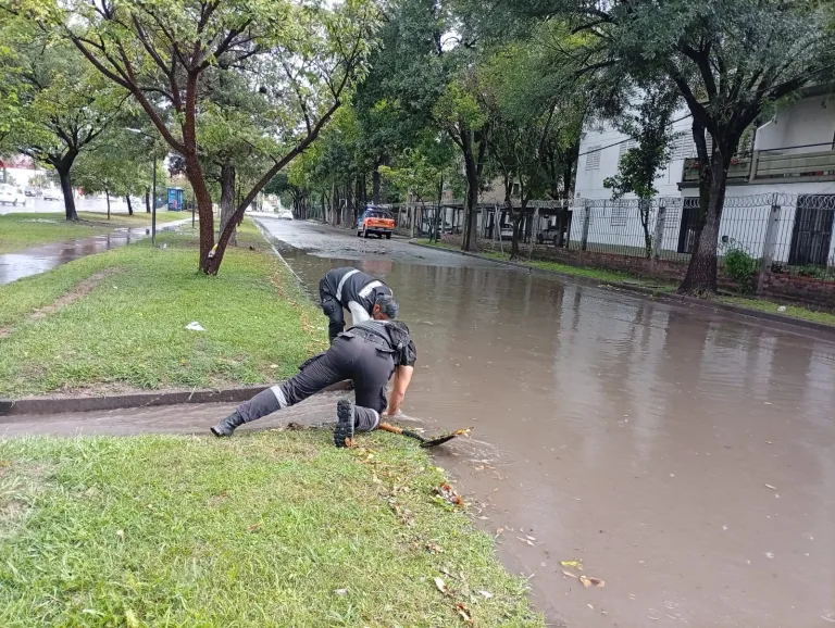 Alerta amarilla: 21 reportes y múltiples intervenciones por caída de árboles y desagües obstruidos