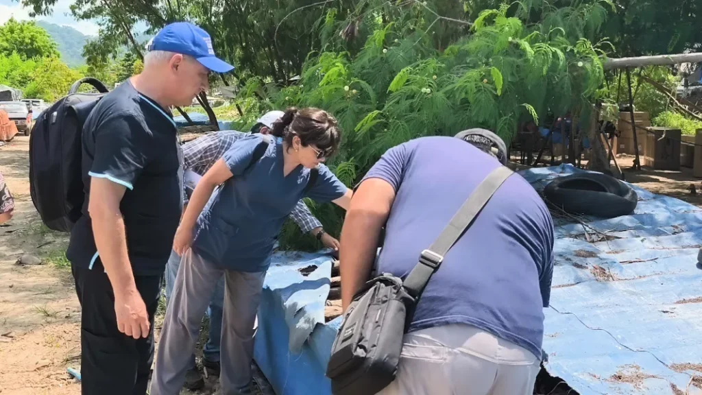 Alerta sanitaria en el norte: refuerzan controles por chikungunya y hantavirus