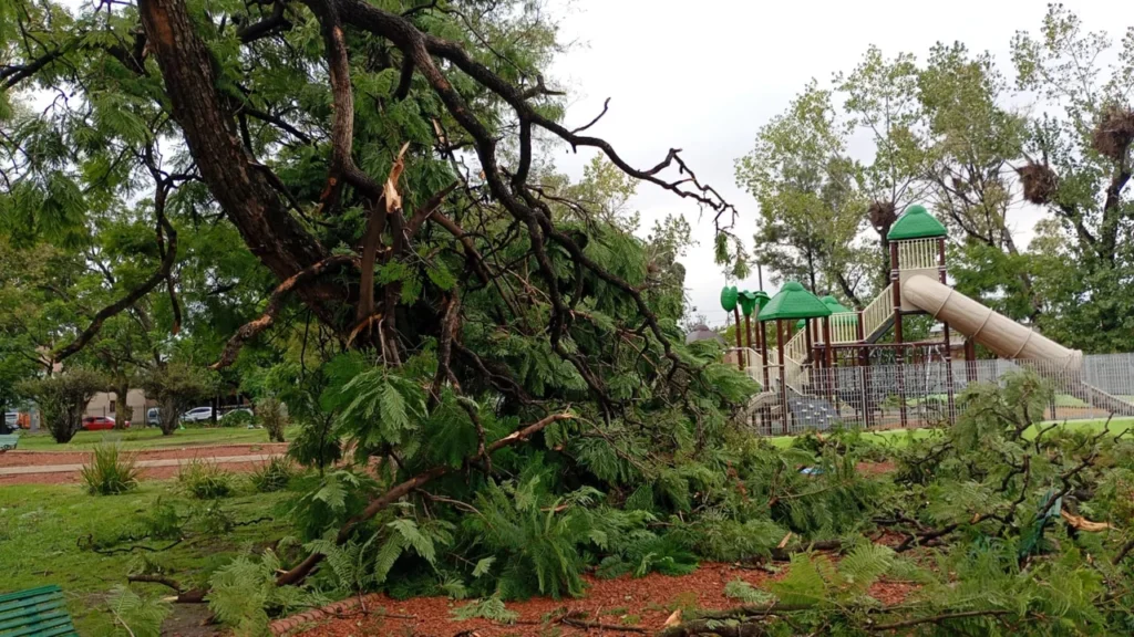 El temporal dejó destrozos en varias ciudades del país: impactantes fotos y videos