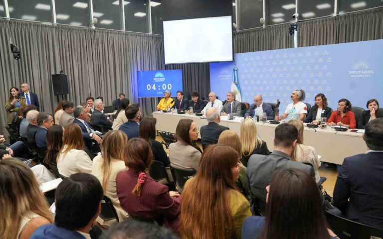 Tras una primera jornada tensa, la audiencia por la Ley de Glaciares continúa mañana su recorrido en Diputados