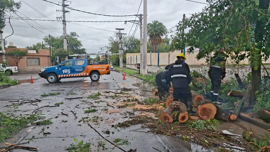 Temporal en la ciudad de Salta: se registraron caídas de árboles, postes, cables y voladuras de chapas