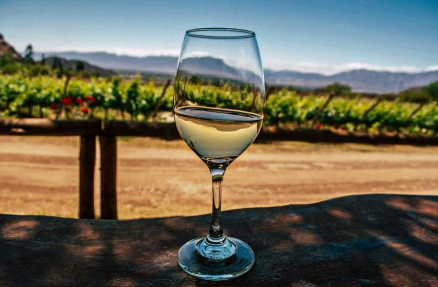 Cafayate será sede de Wineex 2026 con múltiples propuestas