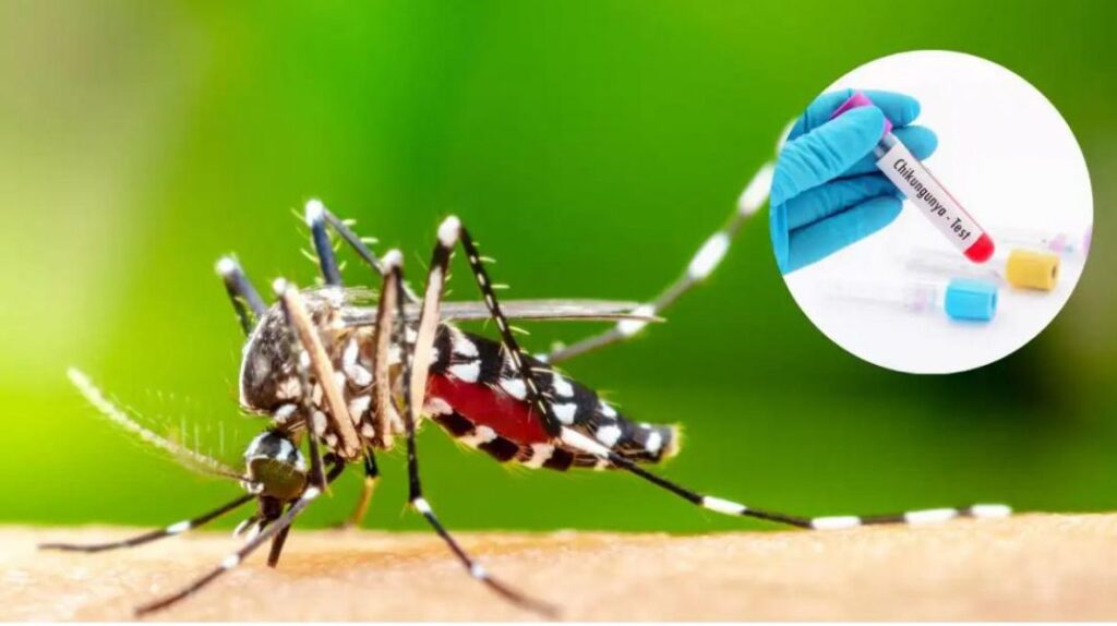 Chikungunya en Salta: confirman el primer fallecimiento por la enfermedad