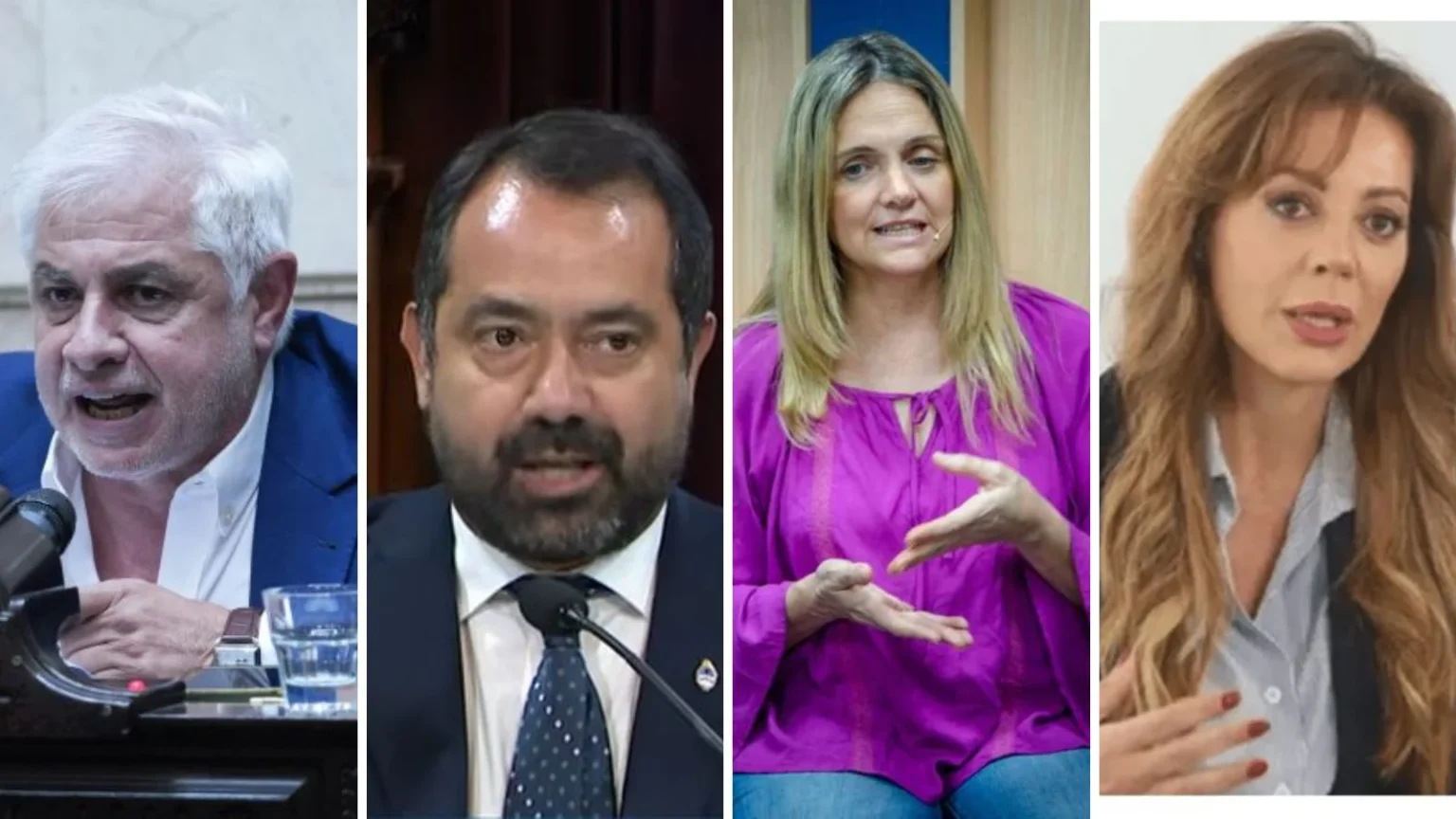 Cuánto deben los diputados y senadores por Salta