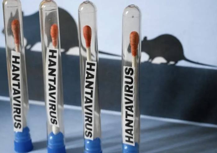 Hantavirus en Salta: confirmaron 17 casos y seis muertes en lo que va del año