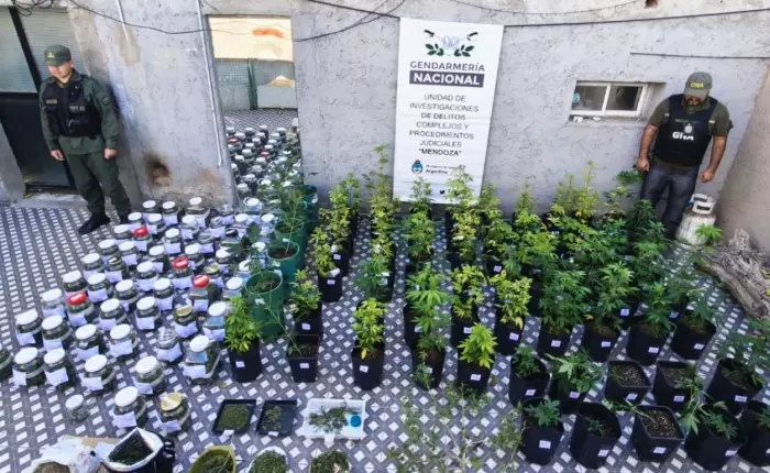 Desbaratan una organización que traficaba personas y armas en Mendoza y Chile