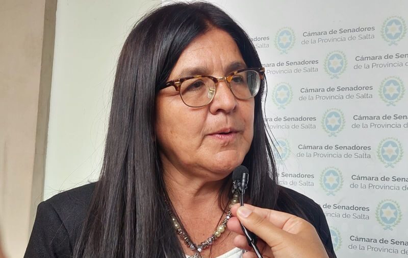 Senadores salteños repudiaron la quita de subsidios en los pasajes de discapacidad