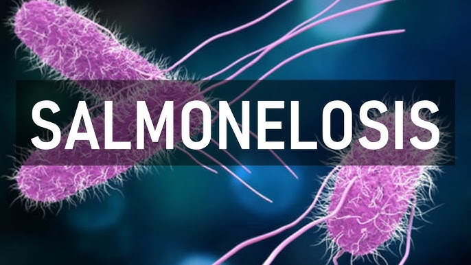 En el primer cuatrimestre se registraron 20 casos de salmonelosis en la provincia