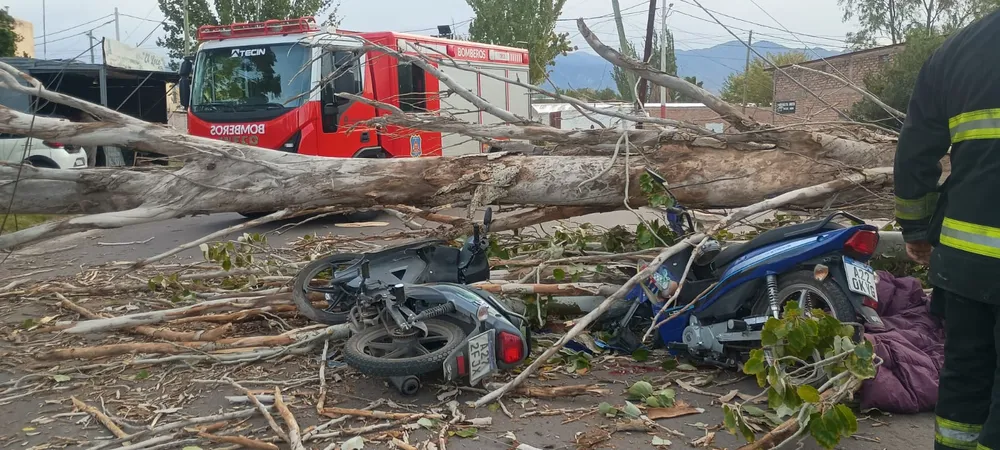 Tragedia en Mendoza: un motociclista murió y otro resultó herido al desplomarse un árbol