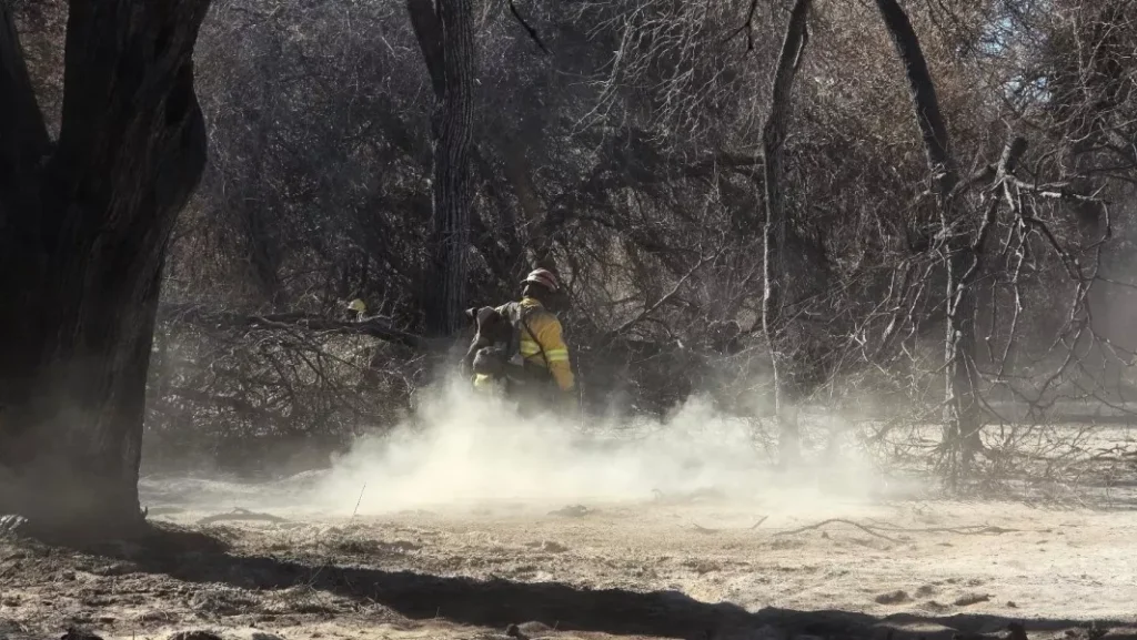 Alivio en Cafayate: los focos de incendio fueron contenidos