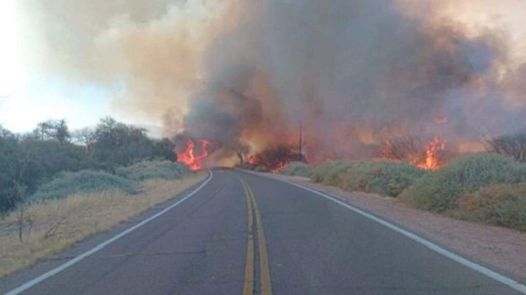 El viento Zonda reactivó varios focos en Cafayate y el incendio ya afecta entre 180 y 200 hectáreas