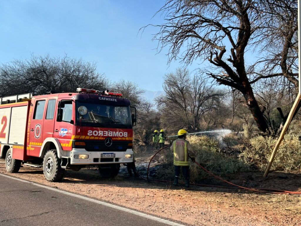 Continúan las tareas operativas para el control del incendio forestal en Cafayate