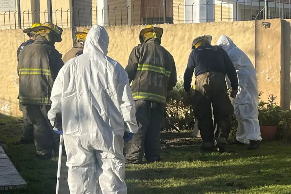 Un joven de 24 años asesinó a su madre y enterró el cuerpo en el patio de la casa