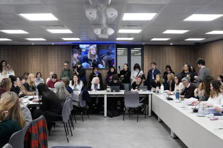Sorpresa en Diputados: la oposición consiguió respaldo para una ley de emergencia nacional por violencia de género