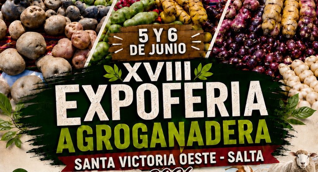 Santa Victoria Oeste se prepara para la XVIII Expoferia Agroganadera