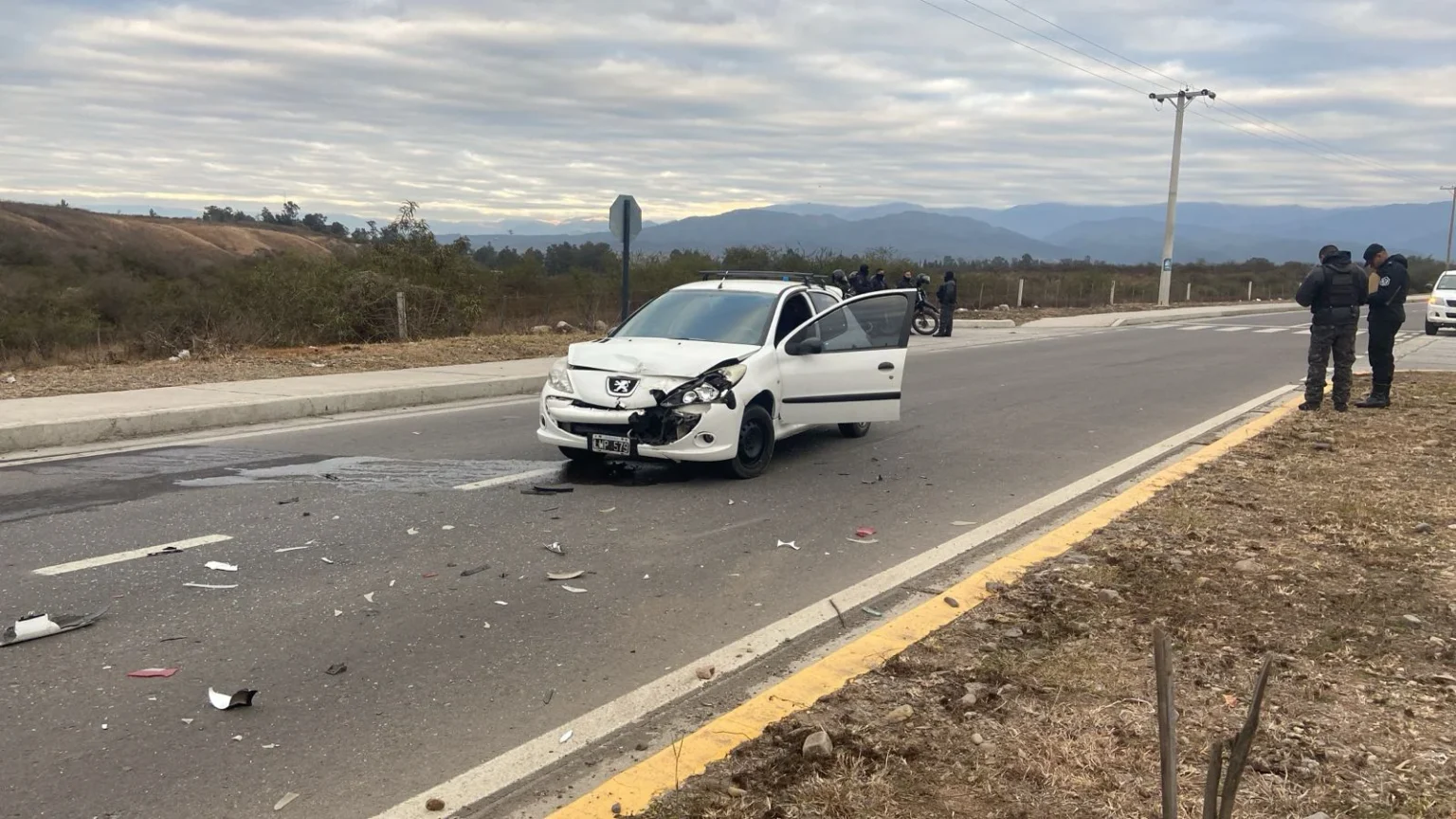 Caballos sueltos provocaron un choque en barrio Grand Bourg