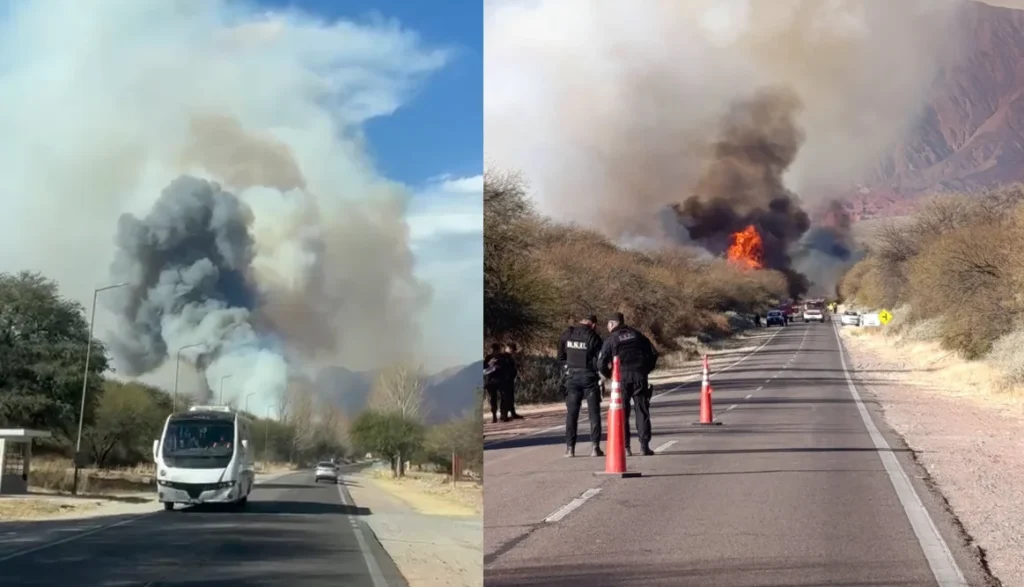 Alerta en Cafayate: el viento Zonda reactivó focos de incendio en zonas de bosque nativo