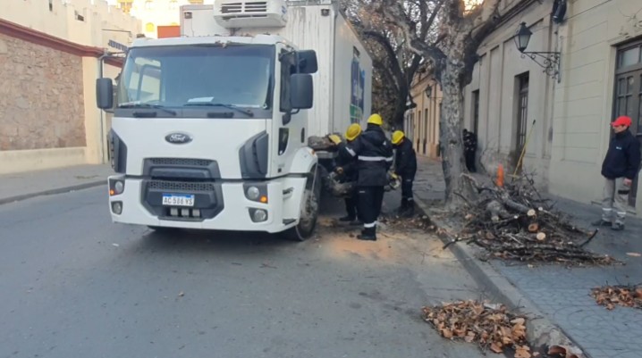 Una rama cayó sobre un camión en pleno centro de Salta