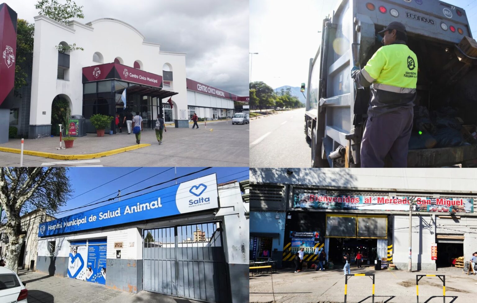 Feriado del 9 de Julio: conocé cómo funcionarán los servicios municipales