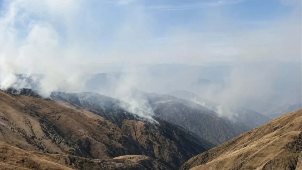 Tragedia en Salta: murió un hombre de 55 años en un incendio forestal en Nazareno