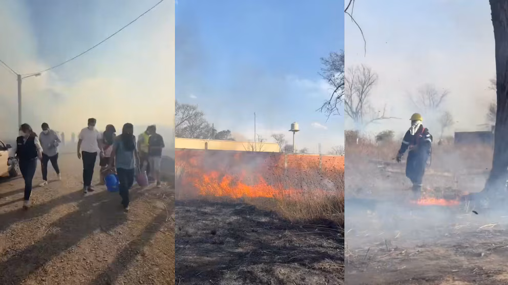 Riesgo extremo de incendios en Salta por el viento Zonda: está prohibido hacer fuego