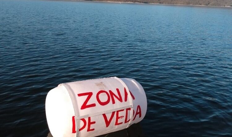 Rige la veda de pesca deportiva en el Dique Campo Alegre