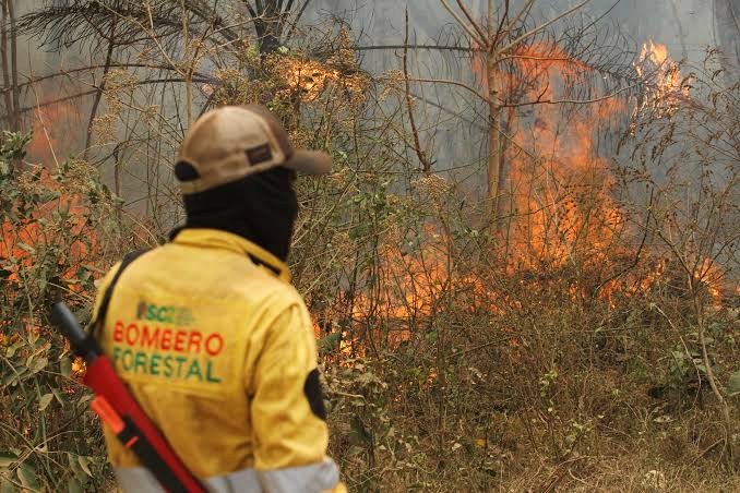 Se agravan los incendios en Bolivia y la respuesta oficial no logra contener el avance del fuego