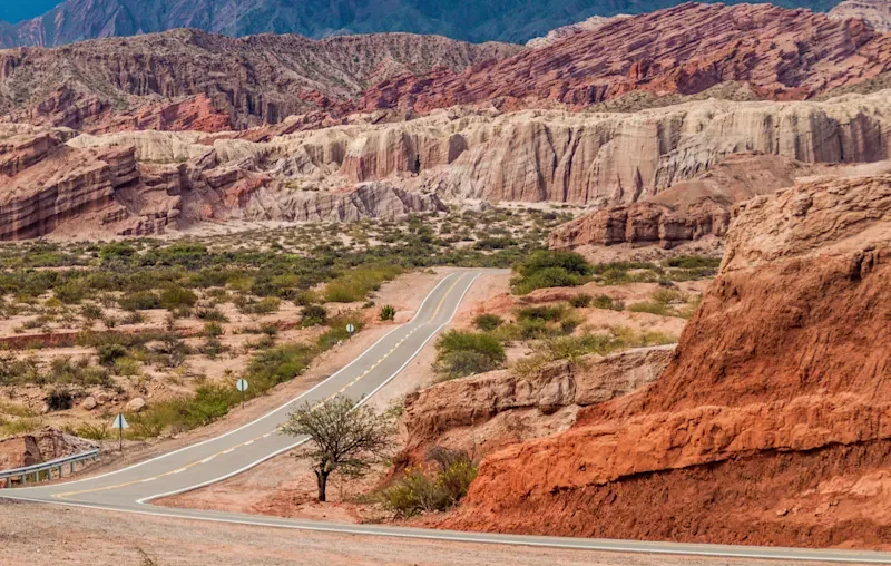 Estado de las rutas nacionales y provinciales de Salta este sábado